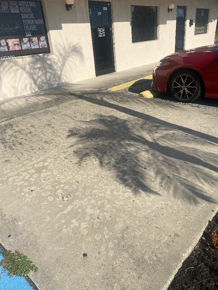 Commercial Pressure Washing in New Port Richey